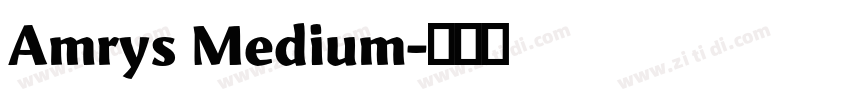 Amrys Medium字体转换